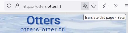Vertalen met Firefox