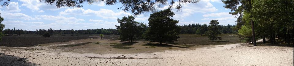 Wandeling Diever Applescha 25 juni