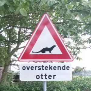 Overstekende otter